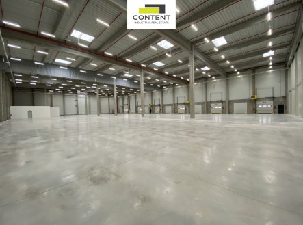 Pronájem výrobní prostory, 7 000 m²