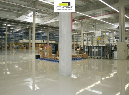 Pronájem výrobní prostory, 11 000 m²