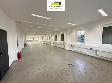 Pronájem obchodní prostory, 449 m²