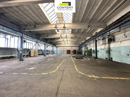 Pronájem výrobní prostory, 9 000 m²