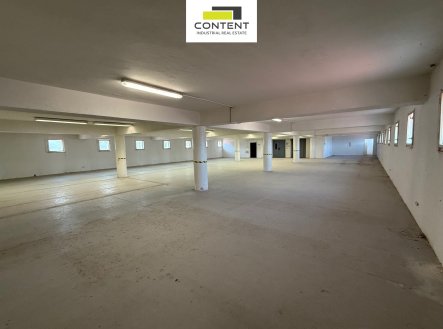 Pronájem výrobní prostory, 3 000 m² obrázek
