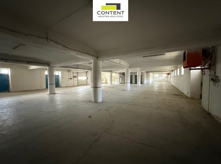 Pronájem výrobní prostory, 3 000 m²