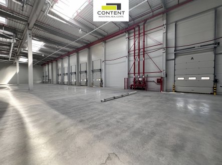Pronájem skladu, 10 000 m²