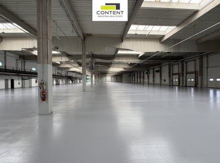 Pronájem výrobní prostory, 8 816 m²