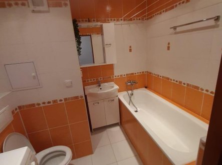 Pronájem bytu, 2+kk, 46 m²