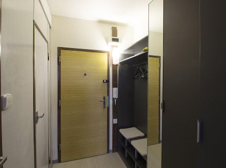 Pronájem bytu, garsoniéra, 29 m²