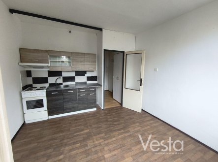 Pronájem bytu, 1+kk, 19 m²