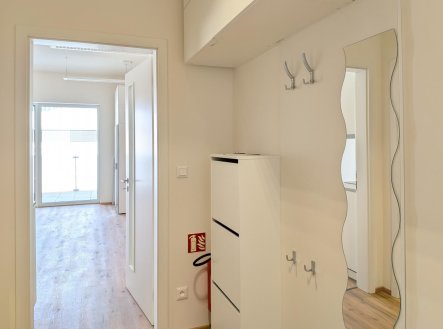 Pronájem kanceláře, 29 m²