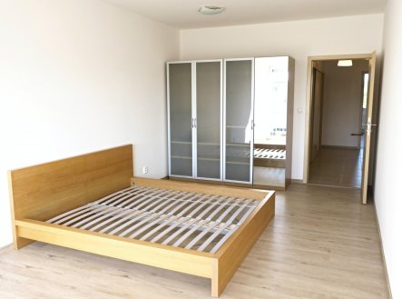Pronájem bytu, 2+kk, 600 m²