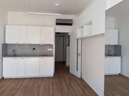 Pronájem bytu, 1+kk, 28,8 m²