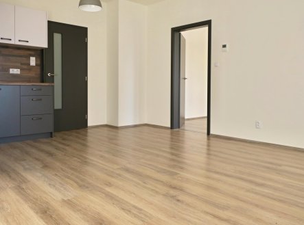 Pronájem bytu, 2+kk, 51 m²