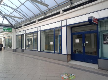 Pronájem obchodní prostory, 90 m²