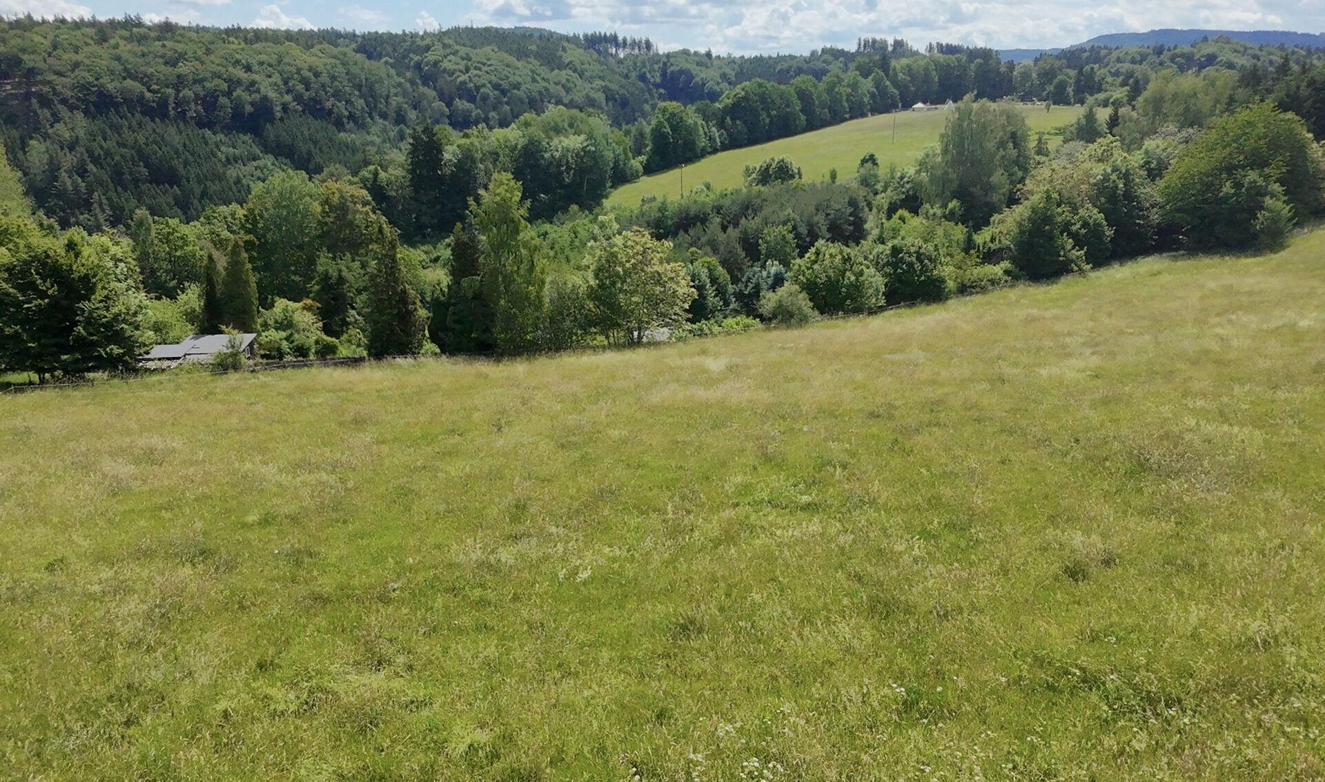 Prodej stavebního pozemku 7359 m² Hrádek u Jehnědí