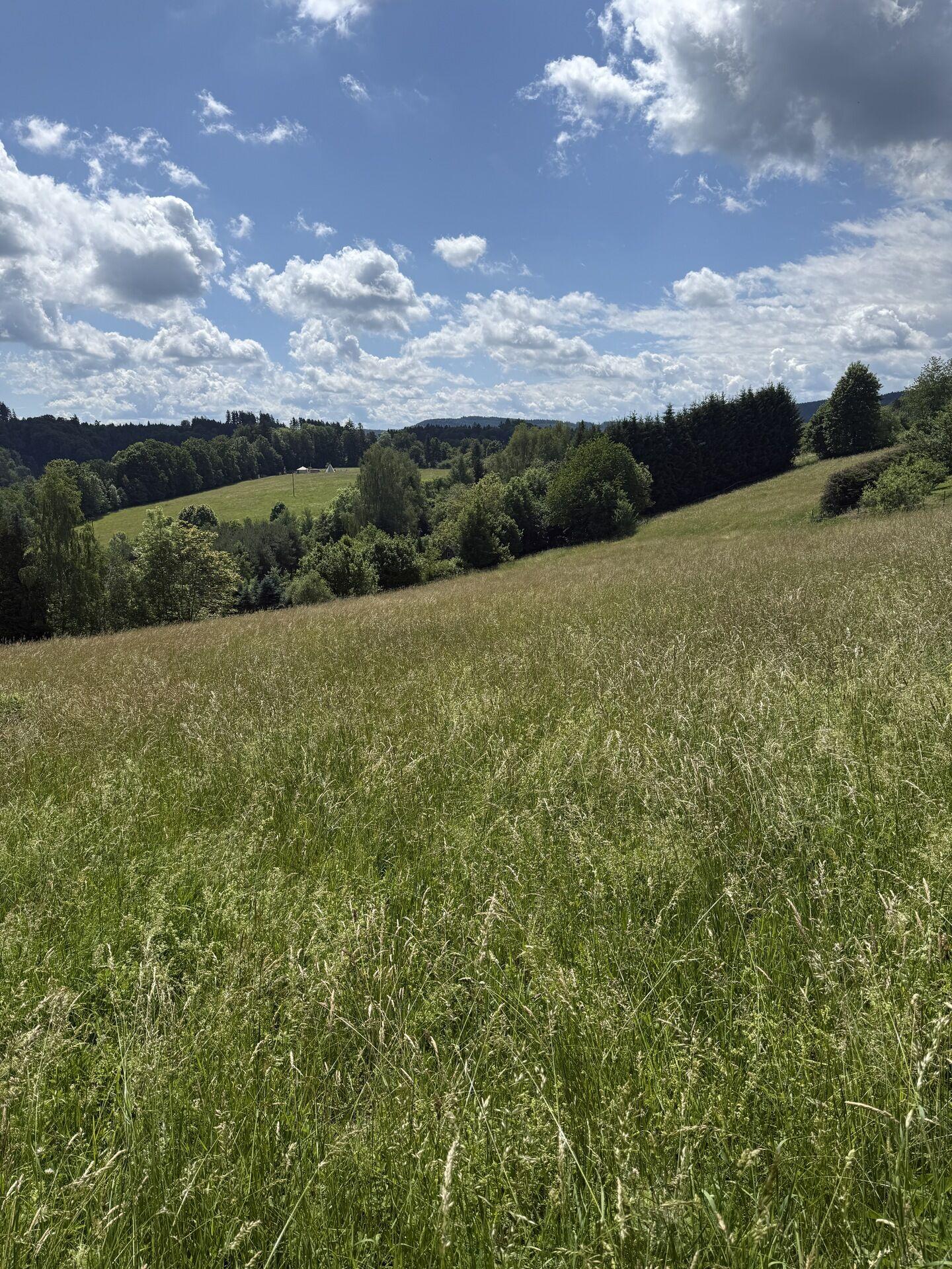 Prodej stavebního pozemku 7359 m² Hrádek u Jehnědí