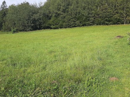 Prodej pozemku pro bydlení, 7 770 m²