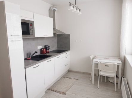 Pronájem bytu, 1+kk, 24 m²