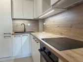 Pronájem bytu, 1+kk, 41 m²
