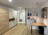 Pronájem bytu, 1+kk, 43 m²