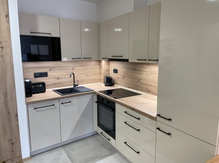 Pronájem bytu, 1+kk, 43 m²