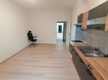 Pronájem bytu, 1+kk, 27 m²
