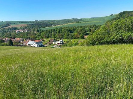 Prodej pozemku, trvalý travní porost, 8 138 m²