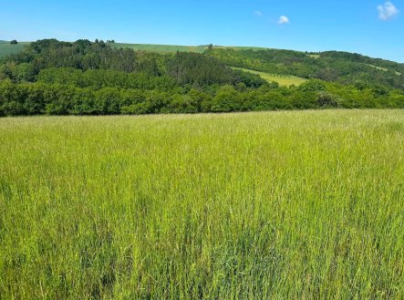 Prodej pozemku, trvalý travní porost, 8 138 m²