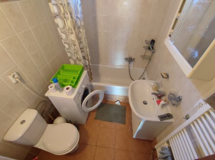Pronájem bytu, 1+kk, 21 m²