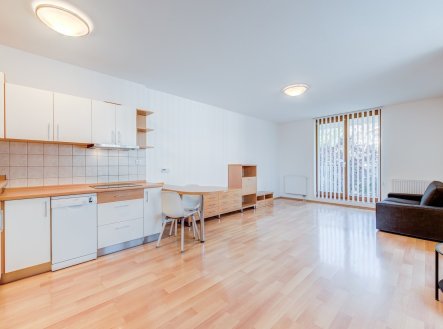 Prodej bytu, 1+kk, 42 m²