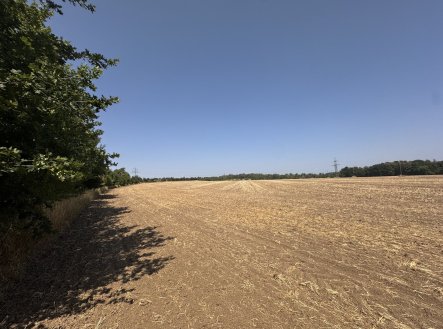 Prodej pozemku, zahrada, 500 m²