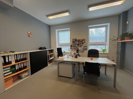 Pronájem kanceláře, 250 m²