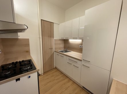 Pronájem bytu, 2+1, 53 m²