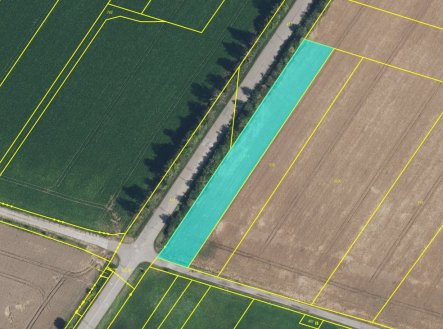 Prodej pozemku, zemědělská půda, 2 481 m²