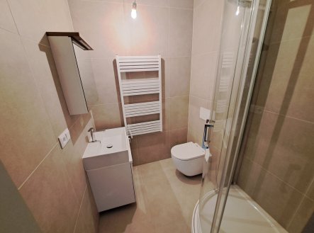 Pronájem bytu, 1+kk, 25 m²