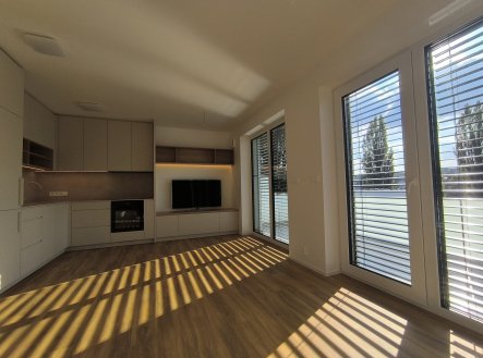 Pronájem bytu, 1+kk, 58 m²