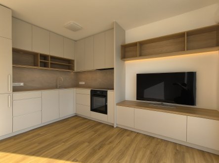 Pronájem bytu, 1+kk, 58 m²