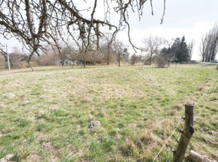 Prodej pozemku pro bydlení, 1 965 m²