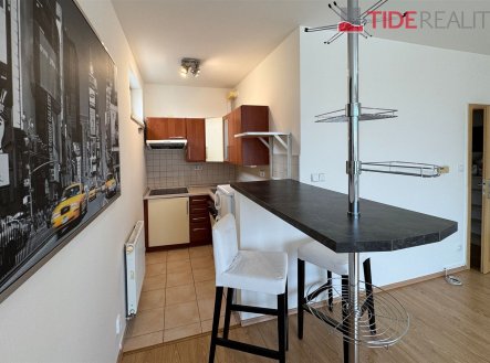 Prodej bytu, 1+kk, 38 m²