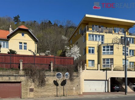 Pronájem