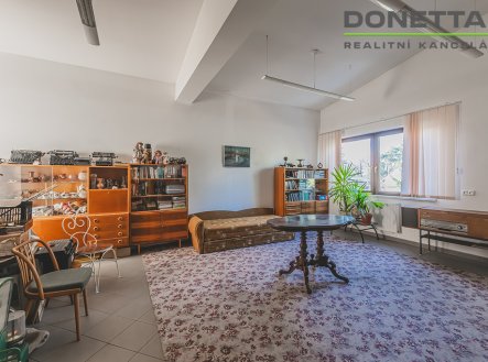 Prodej obchodní prostory, 160 m²