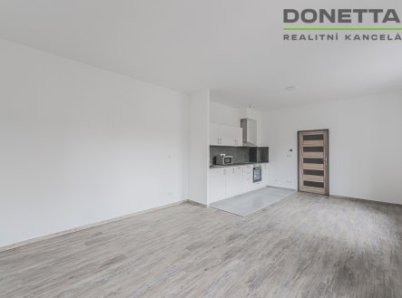 Pronájem bytu, 1+kk, 41 m²
