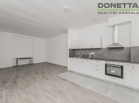 Pronájem bytu, 1+kk, 41 m²