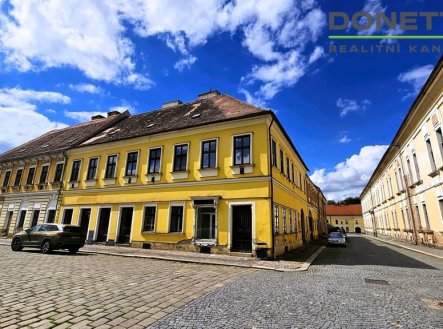 Pronájem obchodní prostory, 100 m²