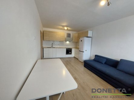 Pronájem bytu, 2+kk, 41 m²