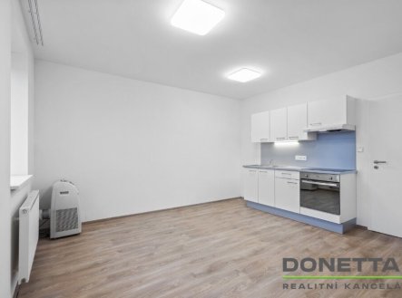 Pronájem bytu, 1+kk, 28 m²