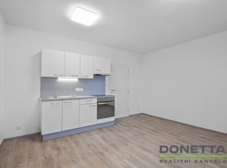 Pronájem bytu, 1+kk, 28 m²