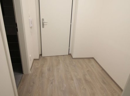 Pronájem bytu, 1+kk, 28 m²