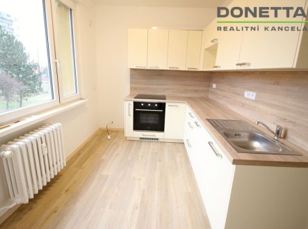Pronájem bytu, 1+1, 40 m²