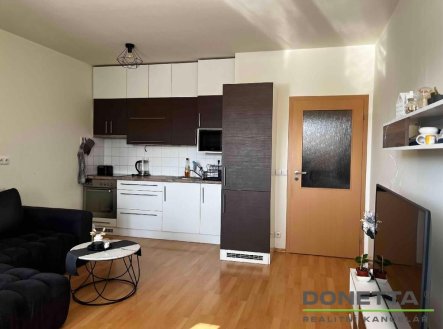 Pronájem bytu, 1+kk, 41 m²