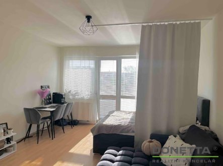 Pronájem bytu, 1+kk, 41 m²