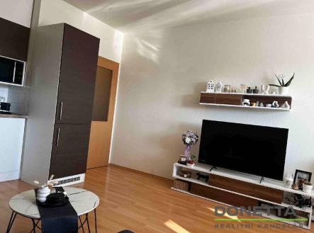 Pronájem bytu, 1+kk, 41 m²